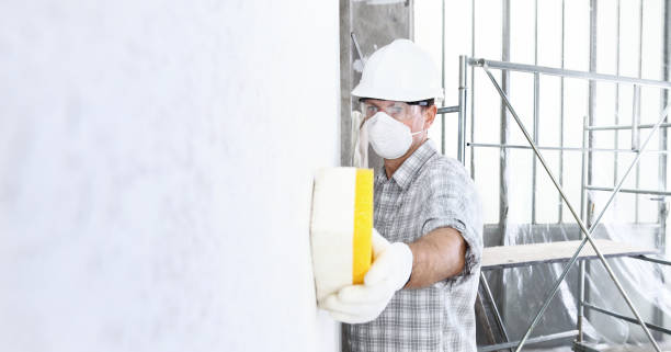 Why You Should Choose Our Mold Remediation Services in Texanna, OK